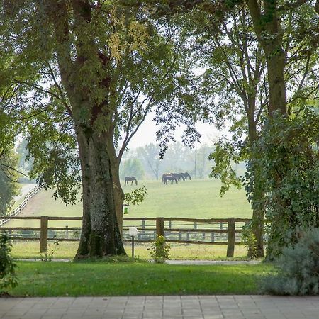 Tenuta Mariano Noceto Ngoại thất bức ảnh